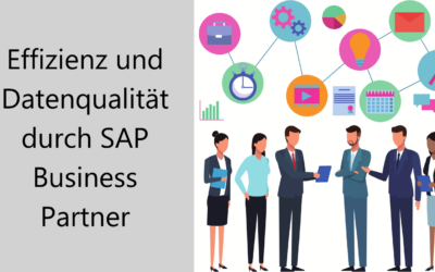 Effizienz und Datenqualität durch SAP Business Partner