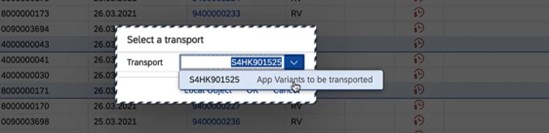 BAS Datei-Explorer mit geöffnetem Anpassungsprojekt und Zugang zum Anpassungseditor über das Tools-Menü